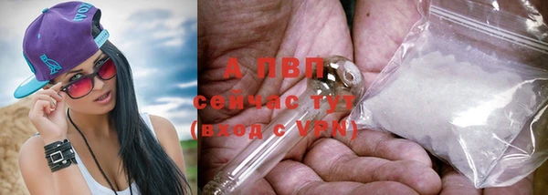 дмт Богданович