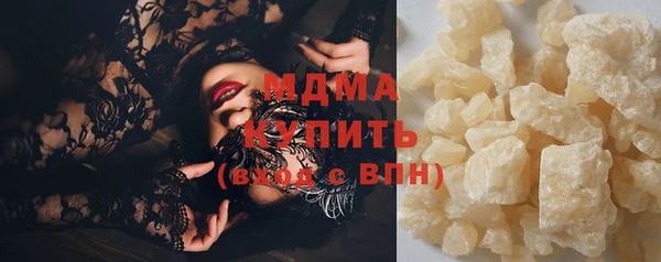 дмт Богданович
