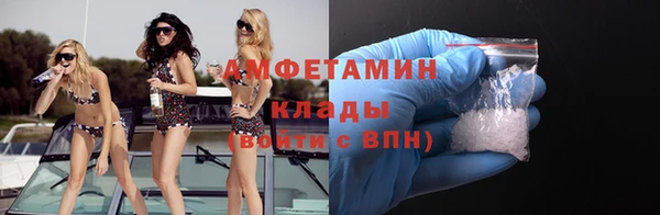 дмт Богданович